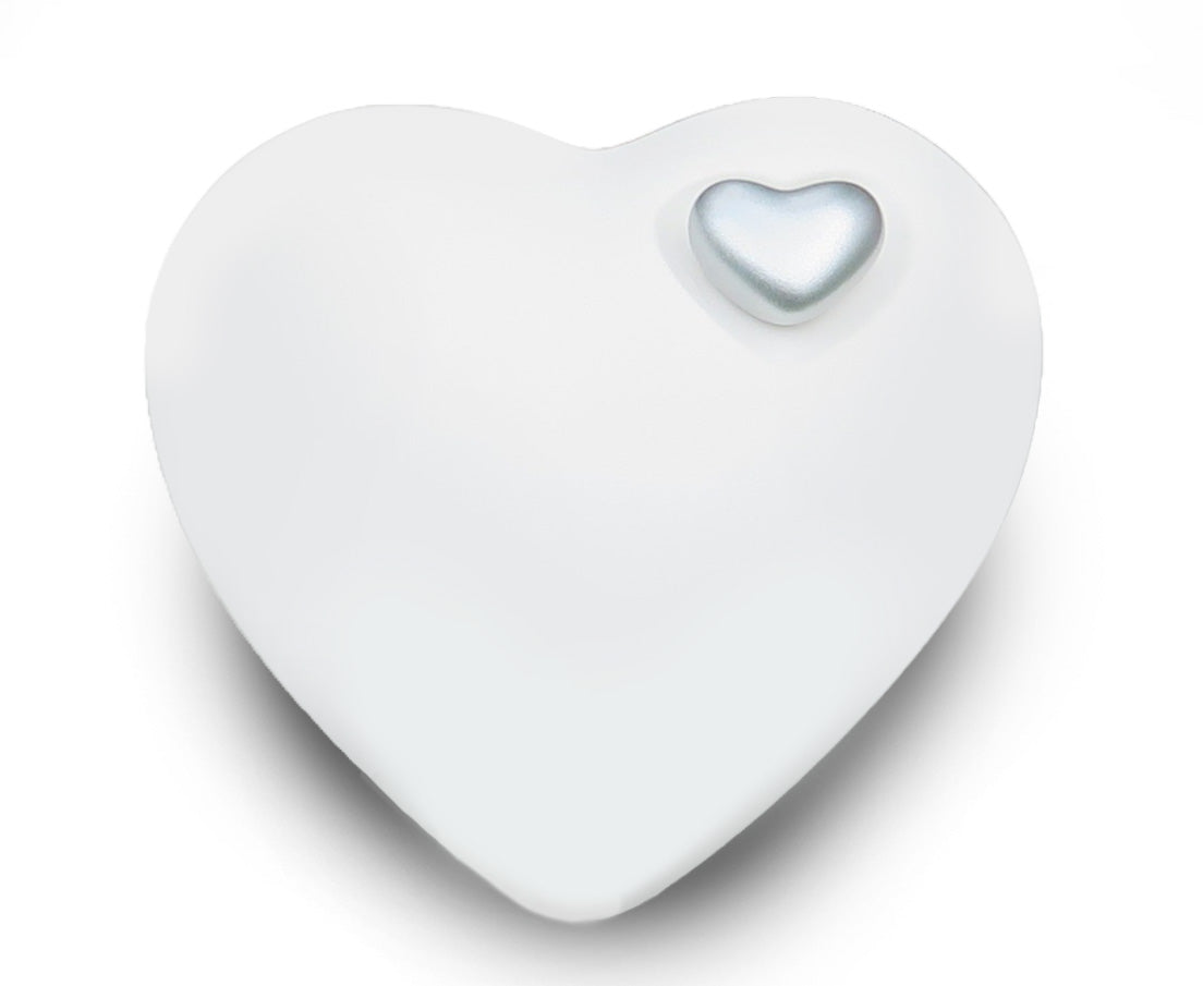 Biologisch abbaubare Urne für Haustiere – geeignet für Erdbestattung