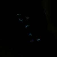 Tieurrne in Kugelform mit Blumenwiese und 3D Blumen