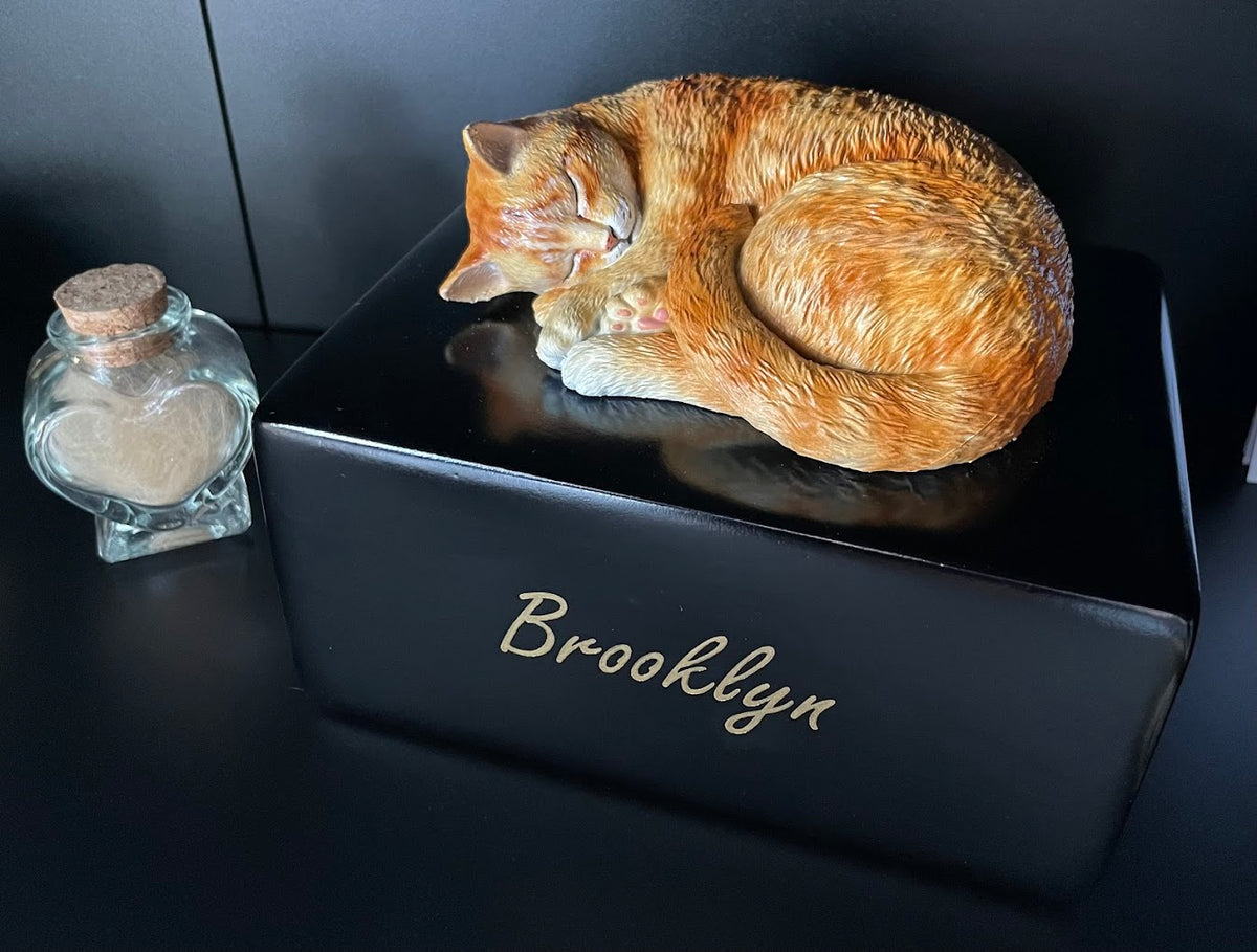 Katzenurne mit schlafender Katze