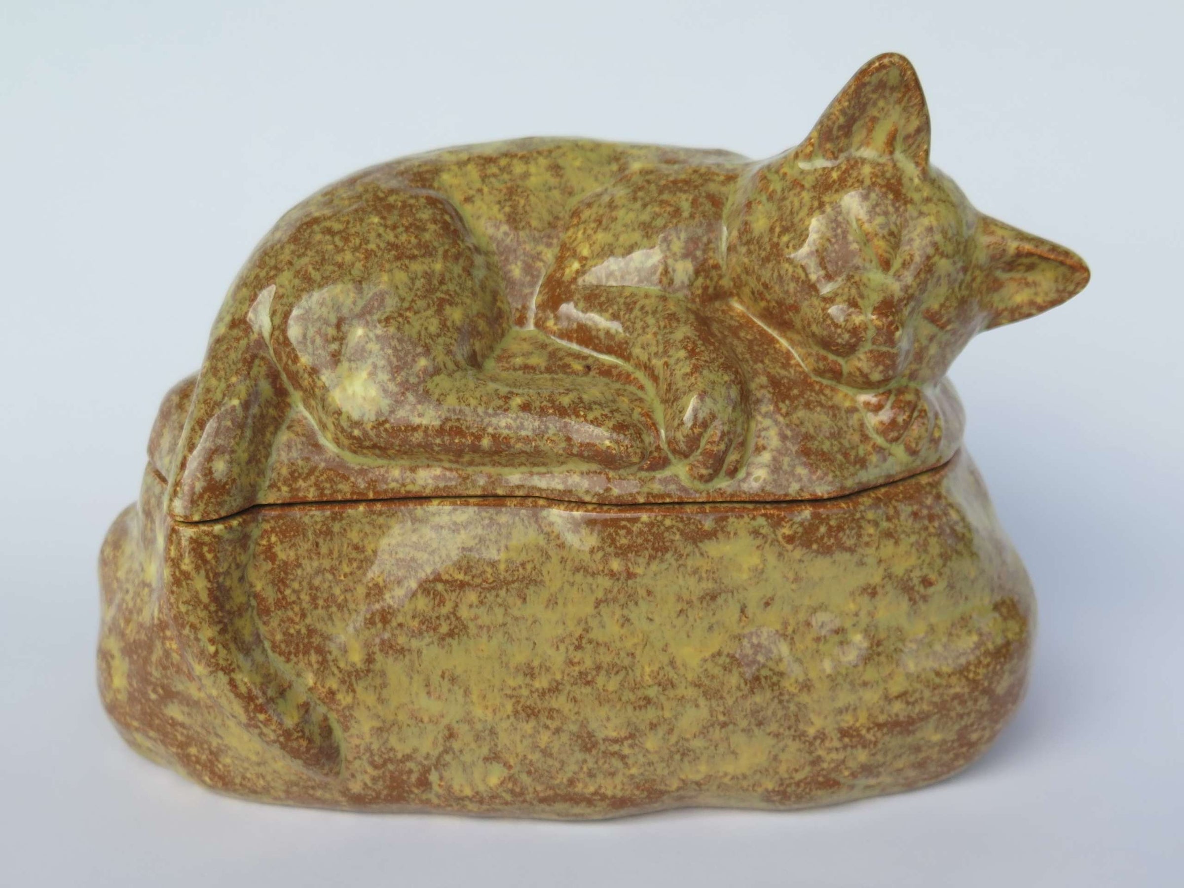 Katzenurne schlafende Katze Samptpfote"