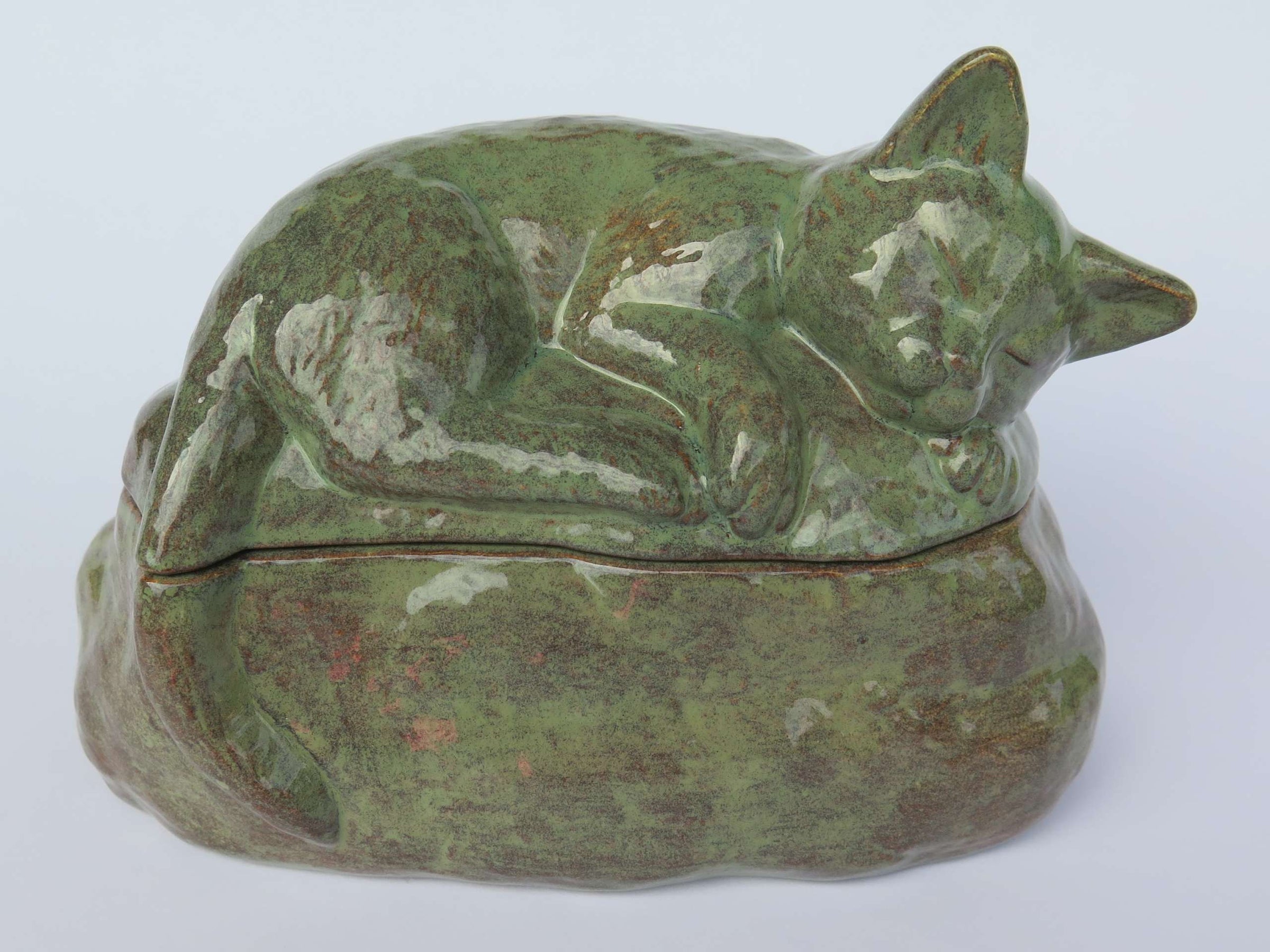 Katzenurne schlafende Katze Tiger