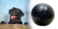 Hundeurne Hund im Licht auch mit Ihrem Hund Kugel