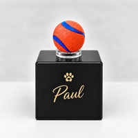 Dog urn cube friends forever in many colors 