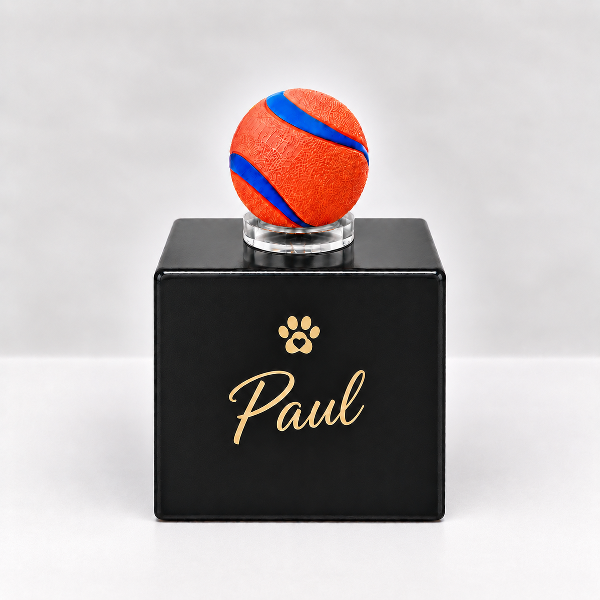 Dog urn cube friends forever in many colors 