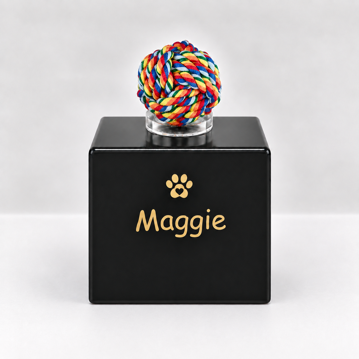 Dog urn cube friends forever in many colors 