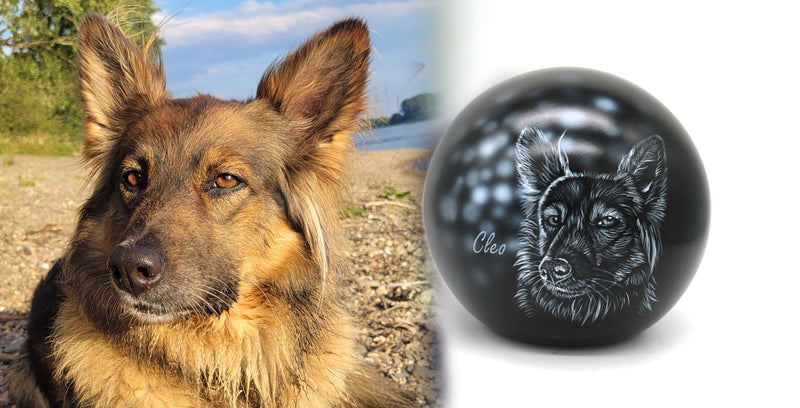 Hundeurne Lichterhund mit Silhouette Ihres Hundes