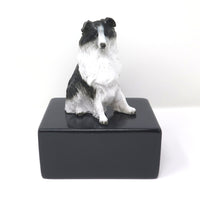 Collie Urne
