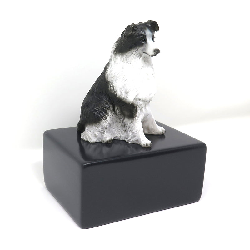 Collie Urne