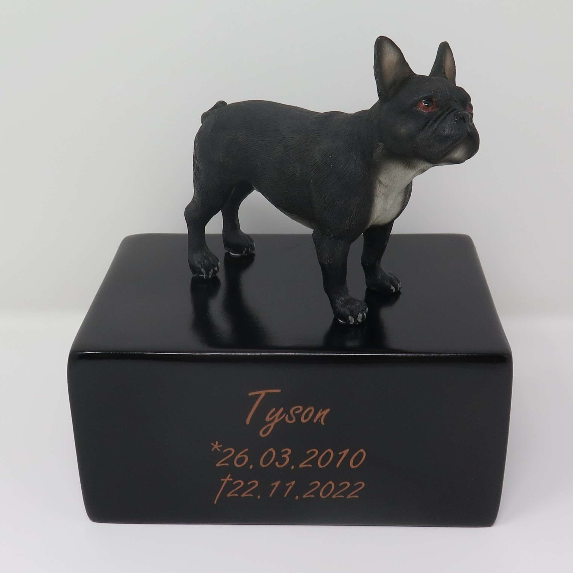 Schwarze Französische Bulldogge auf Urne