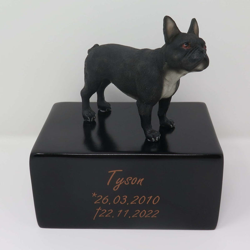 Schwarze Französische Bulldogge auf Urne