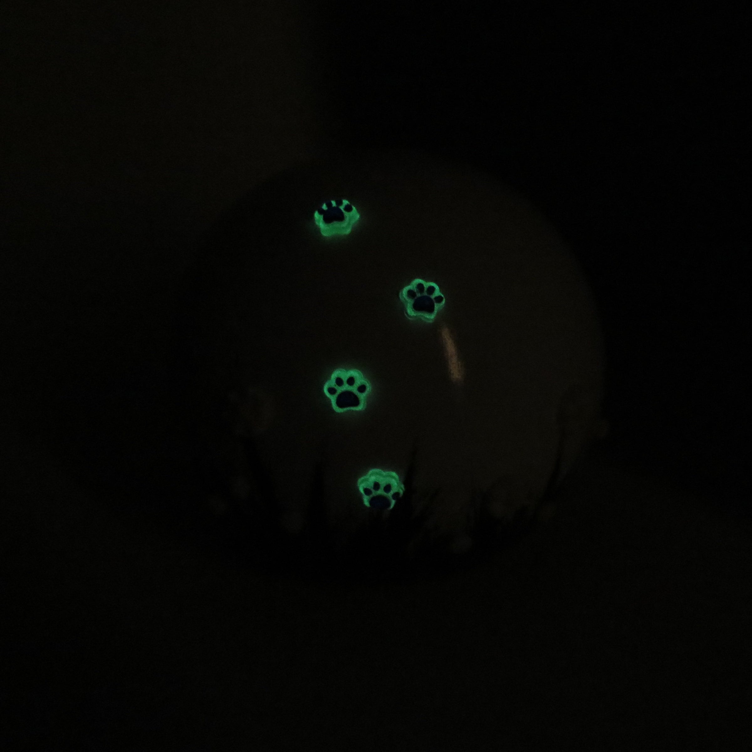 Tierurne Pfötchenwiese