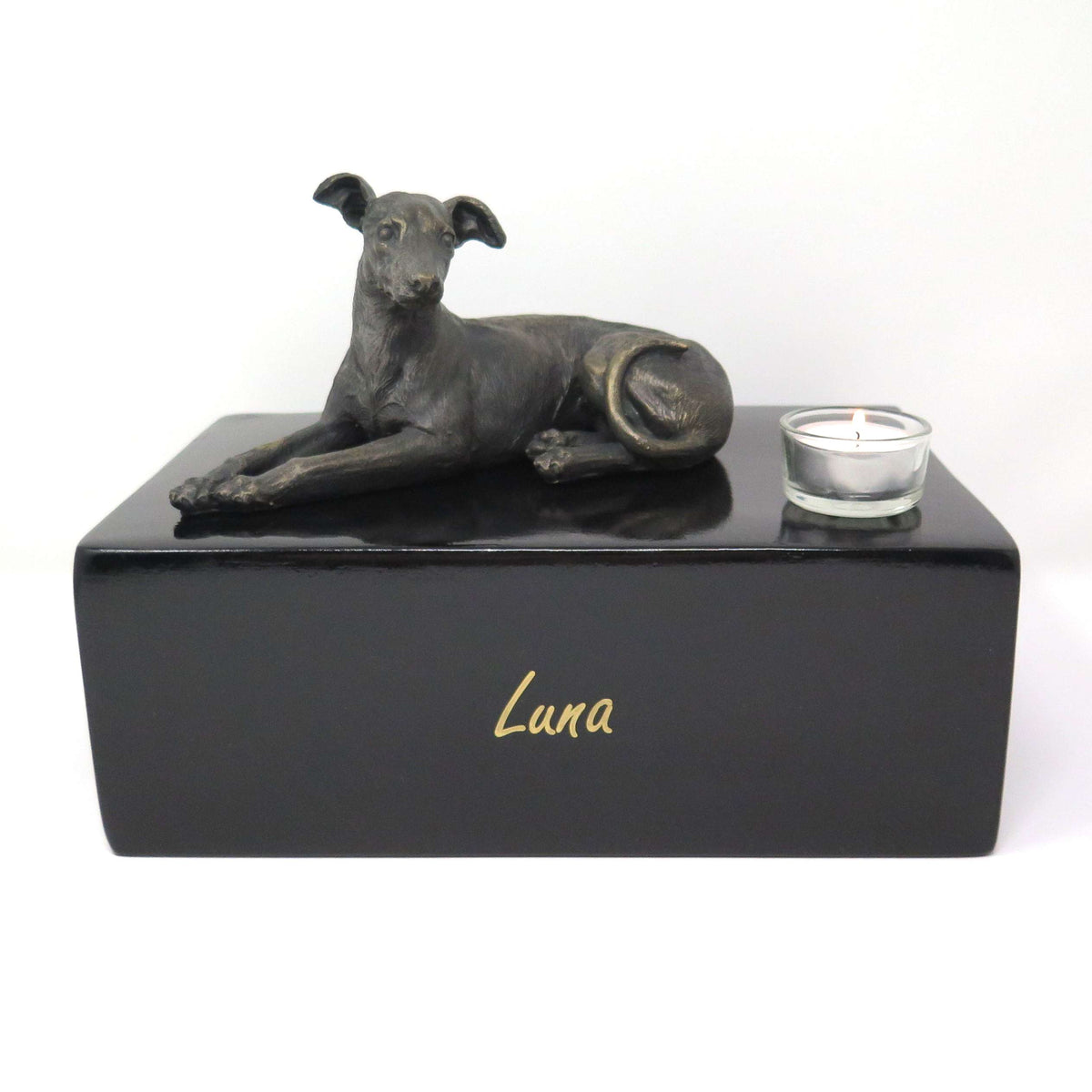 Greyhound Urne