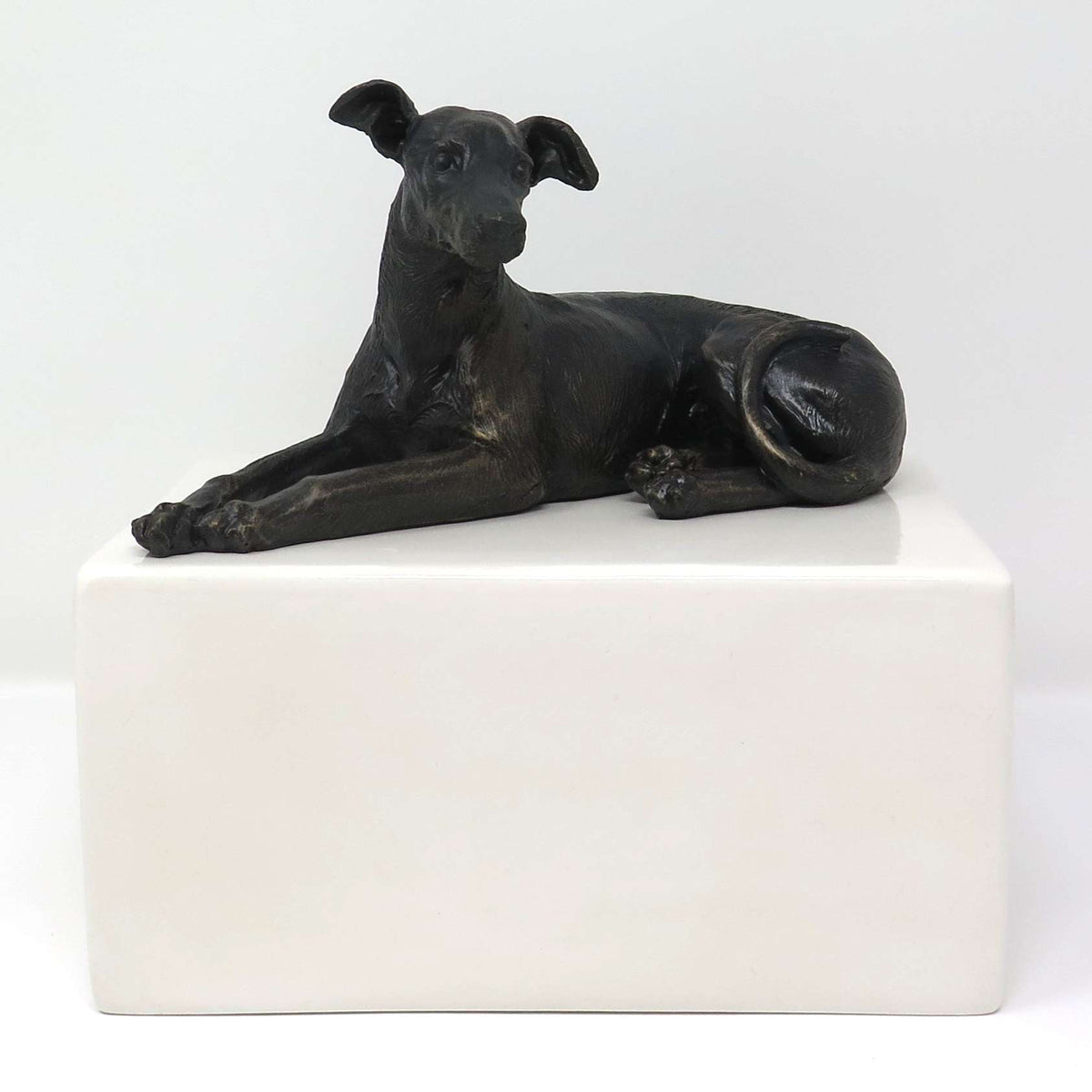 Greyhound Urne