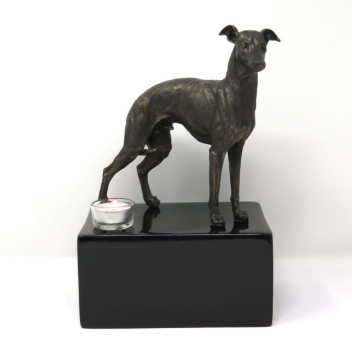 Greyhound Urne