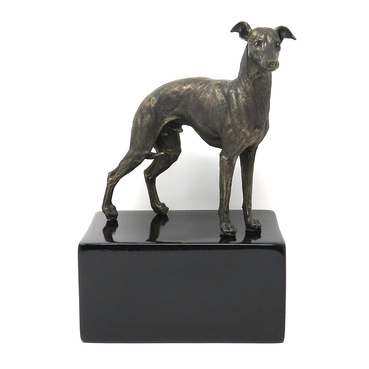 Greyhound Urne