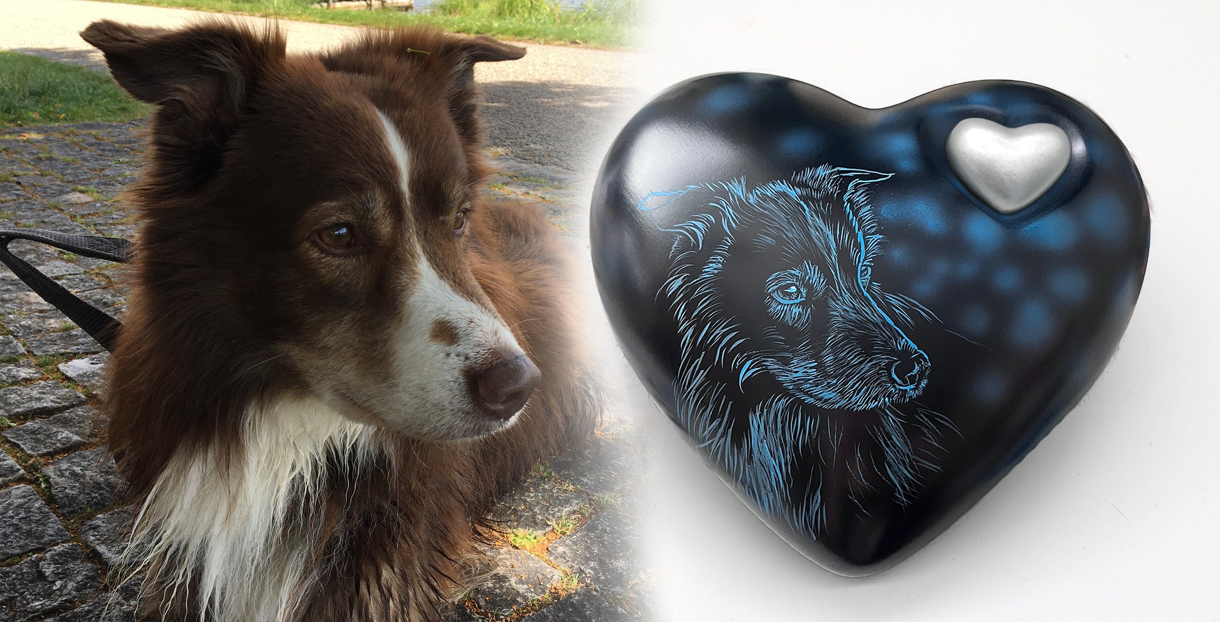 Hundeurne Hund im Licht auch mit Ihrem Hund Herz