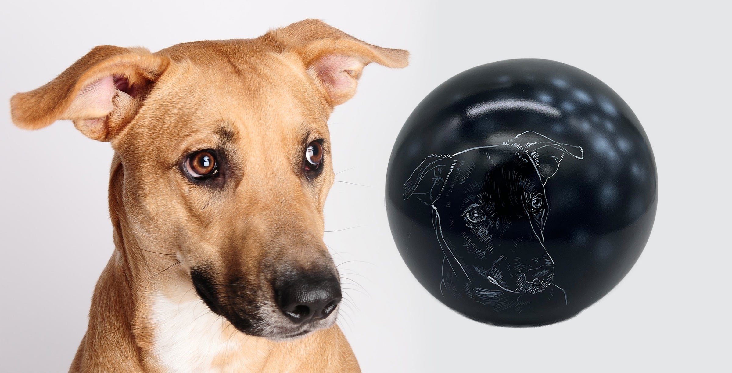 Hundeurne Lichterhund mit Silhouette Ihres Hundes