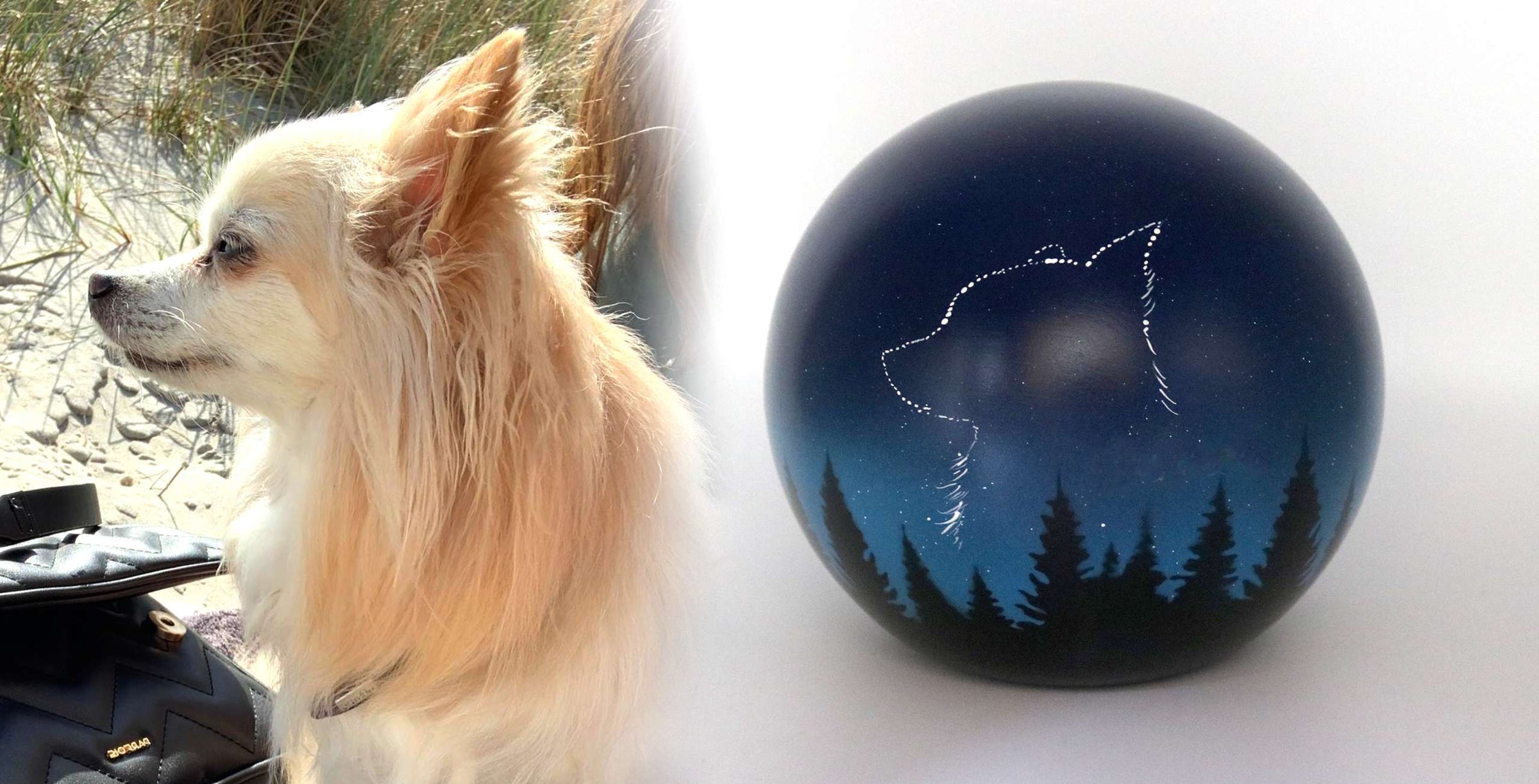 Hundeurne in Kugelform mit einem Hund in den Sternen nach Fotovorlage bemalt