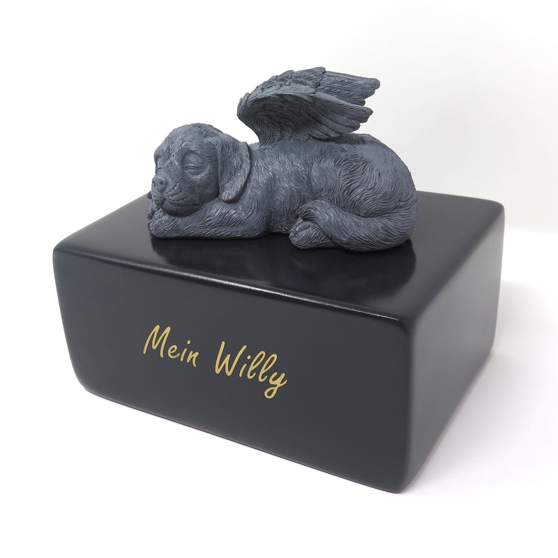 Hundeurne mit schlafenden Hund