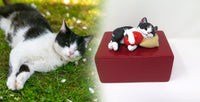 Katzenurne schlafende Katze auf Kissen Schwarz