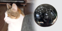 Katzenurne Lichterkatze mit Silhouette Ihrer Katze