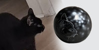 Katzenurne Katze im Licht auch mit Ihrer Katze Kugel