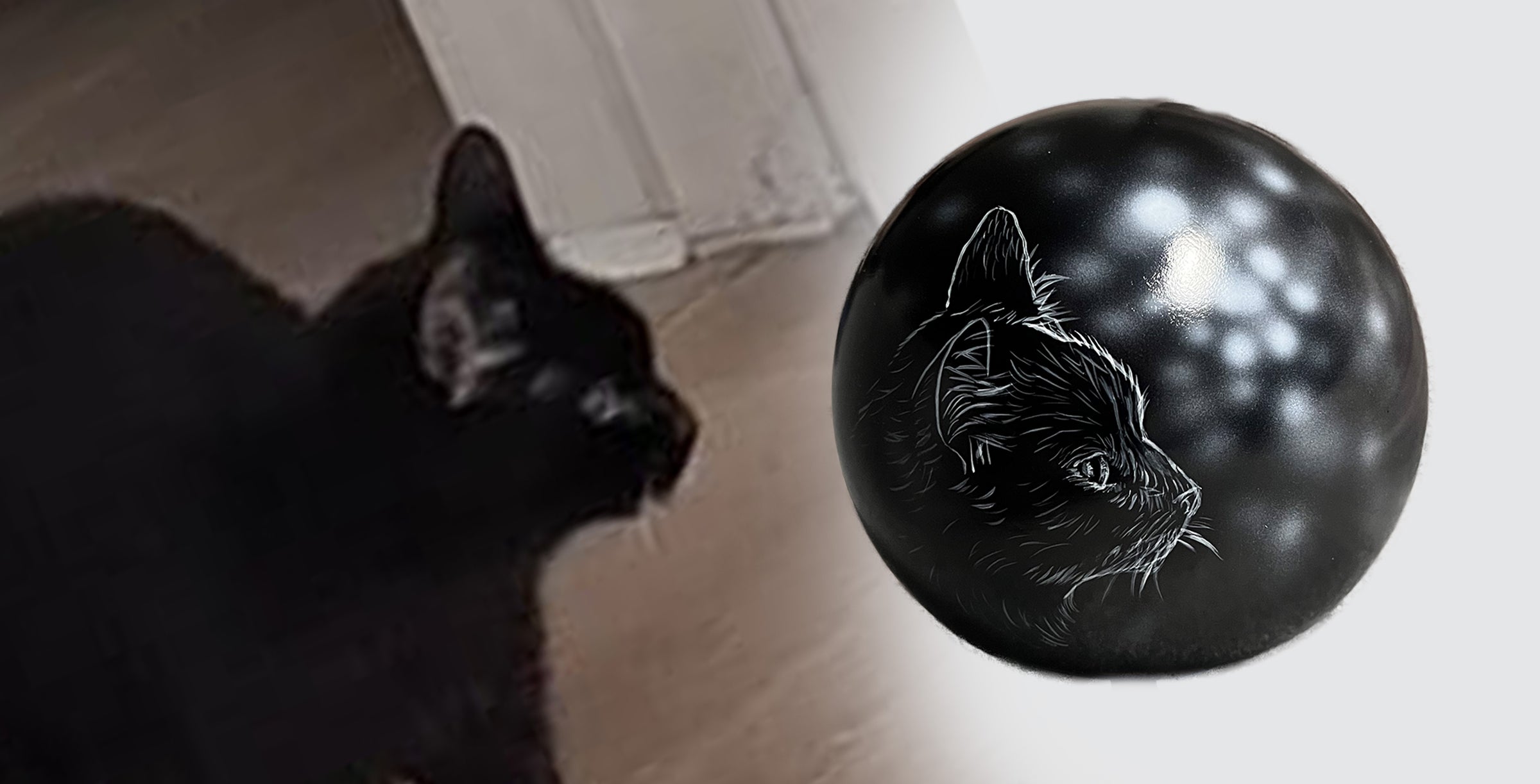 Katzenurne Katze im Licht auch mit Ihrer Katze Kugel