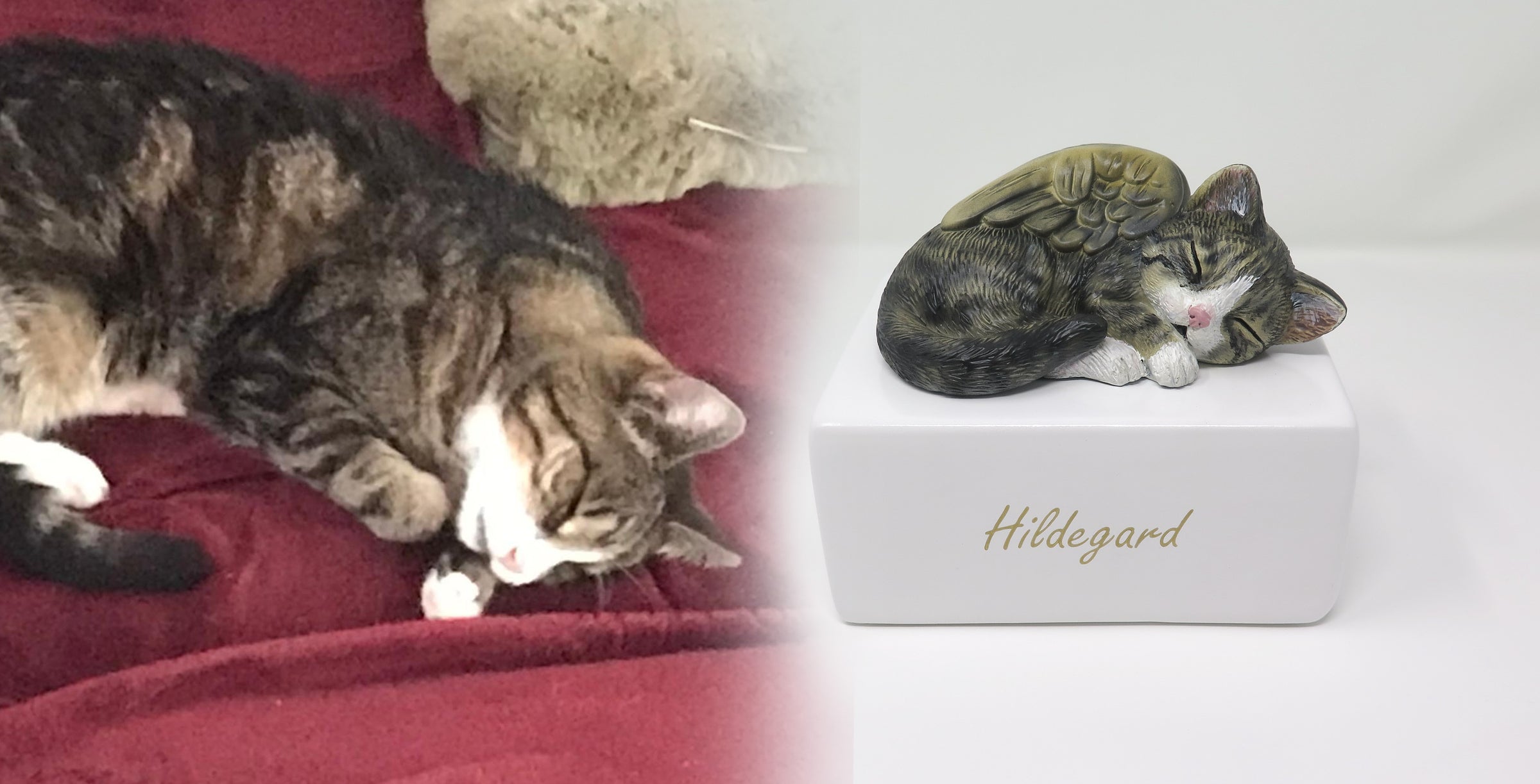 Katzenurne schlafende Katze mit Flügel