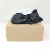 Katzenurne schlafende Katze mit Flügel