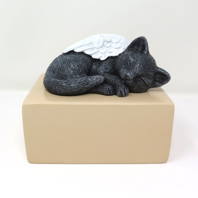 Katzenurne schlafende Katze mit Flügel