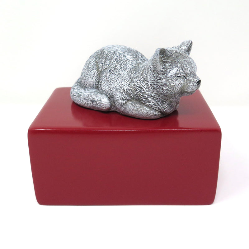 urne katze zu hause aufbewahren Katzenurne schlafende Katze Schläfchen