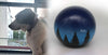 Hundeurne in Kugelform mit einem Hund in den Sternen nach Fotovorlage bemalt