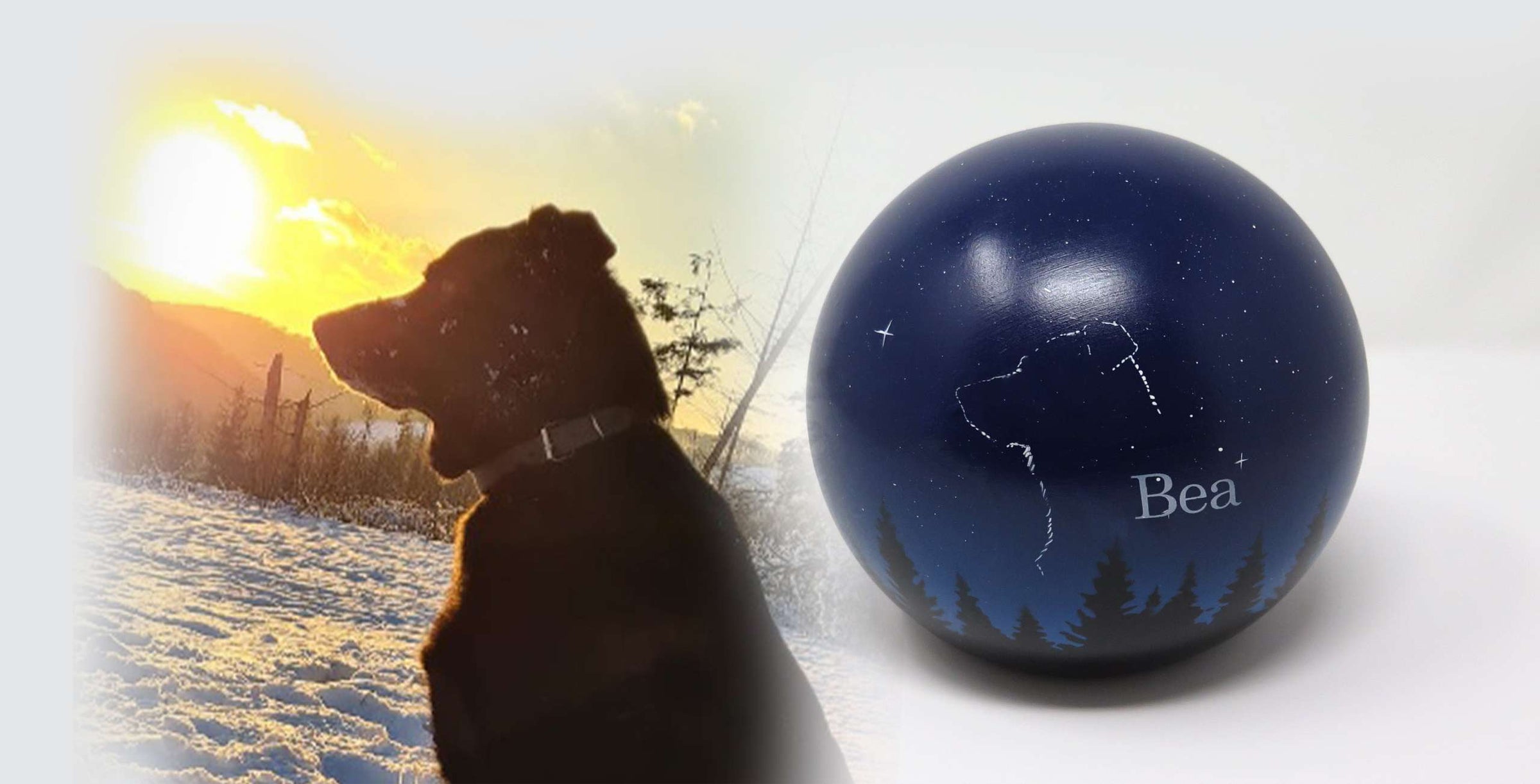 Hundeurne in Kugelform mit einem Hund in den Sternen nach Fotovorlage bemalt