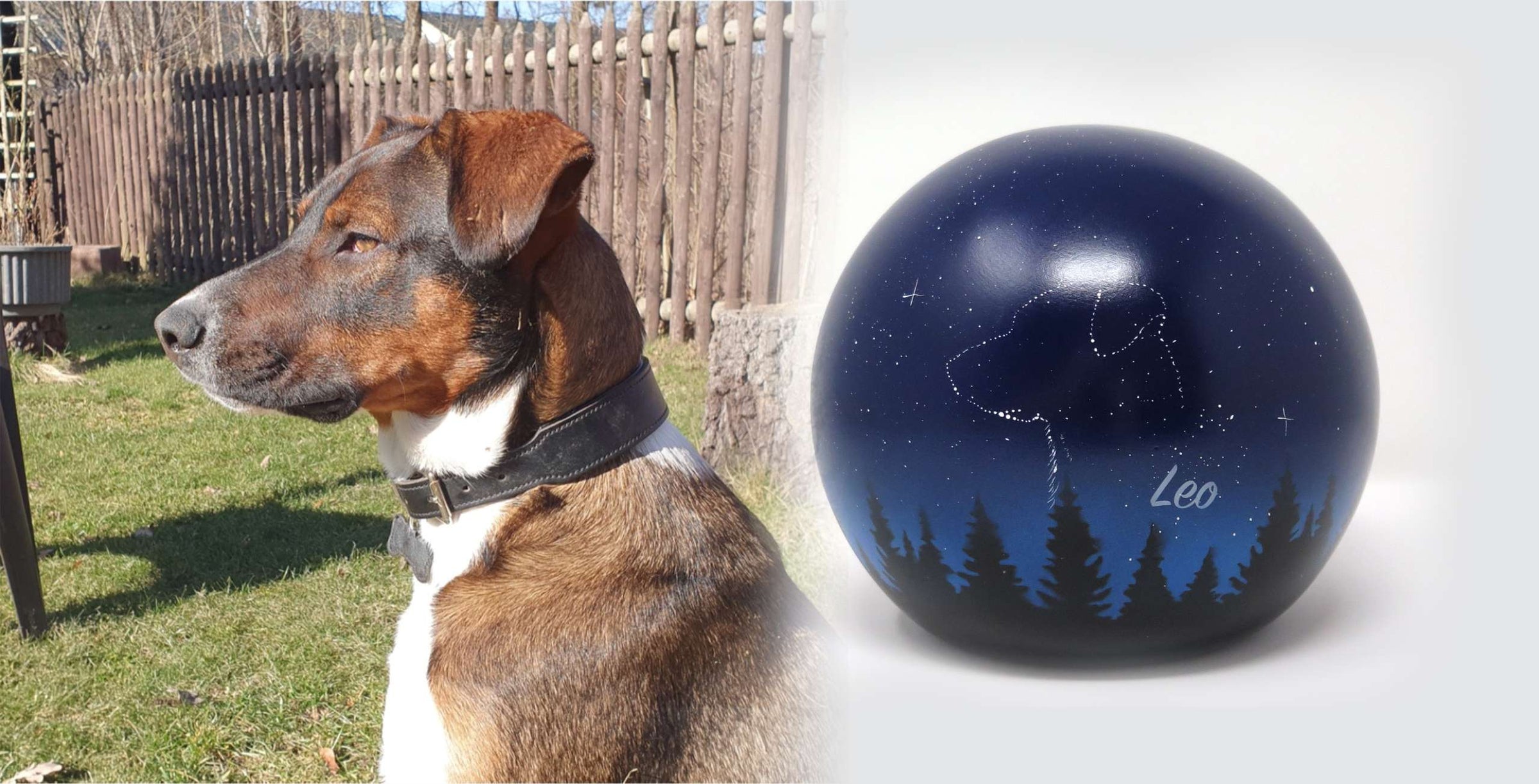 Hundeurne in Kugelform mit einem Hund in den Sternen nach Fotovorlage bemalt