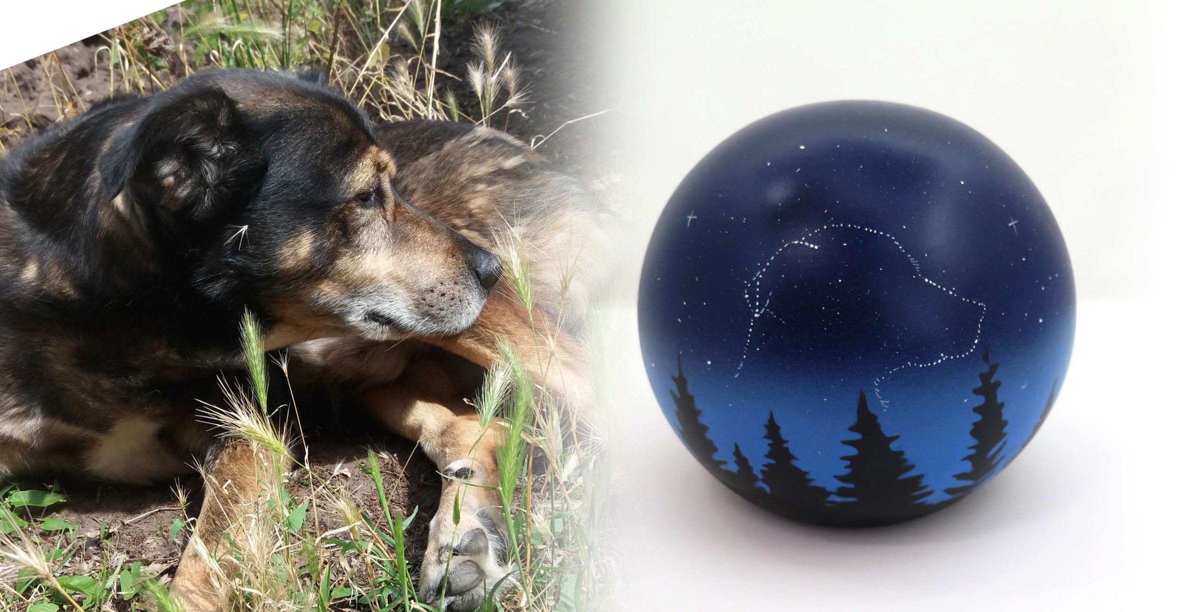 Hundeurne in Kugelform mit einem Hund in den Sternen nach Fotovorlage bemalt
