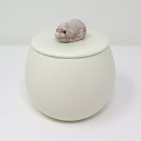 Meerschweinchenurne Caramel