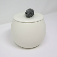 Meerschweinchenurne Chipsy