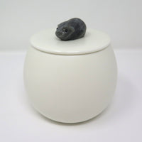 Meerschweinchenurne Chipsy