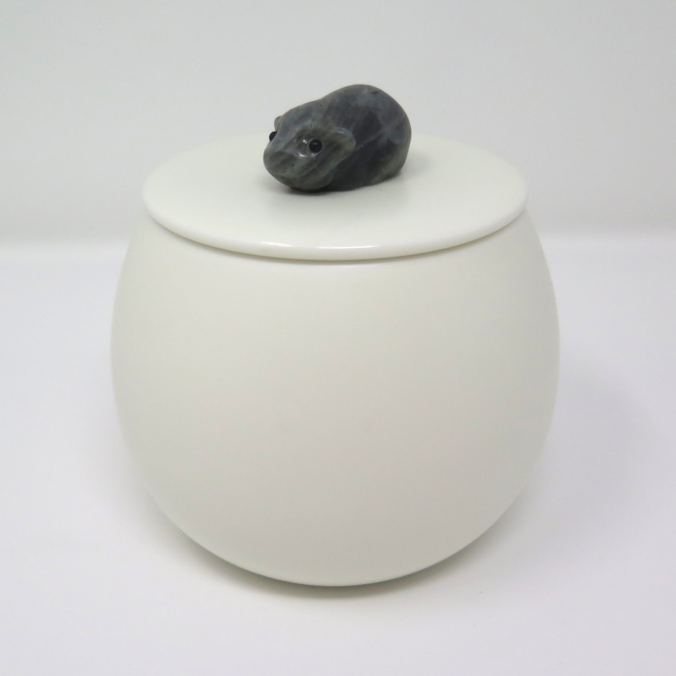 Meerschweinchenurne Chipsy