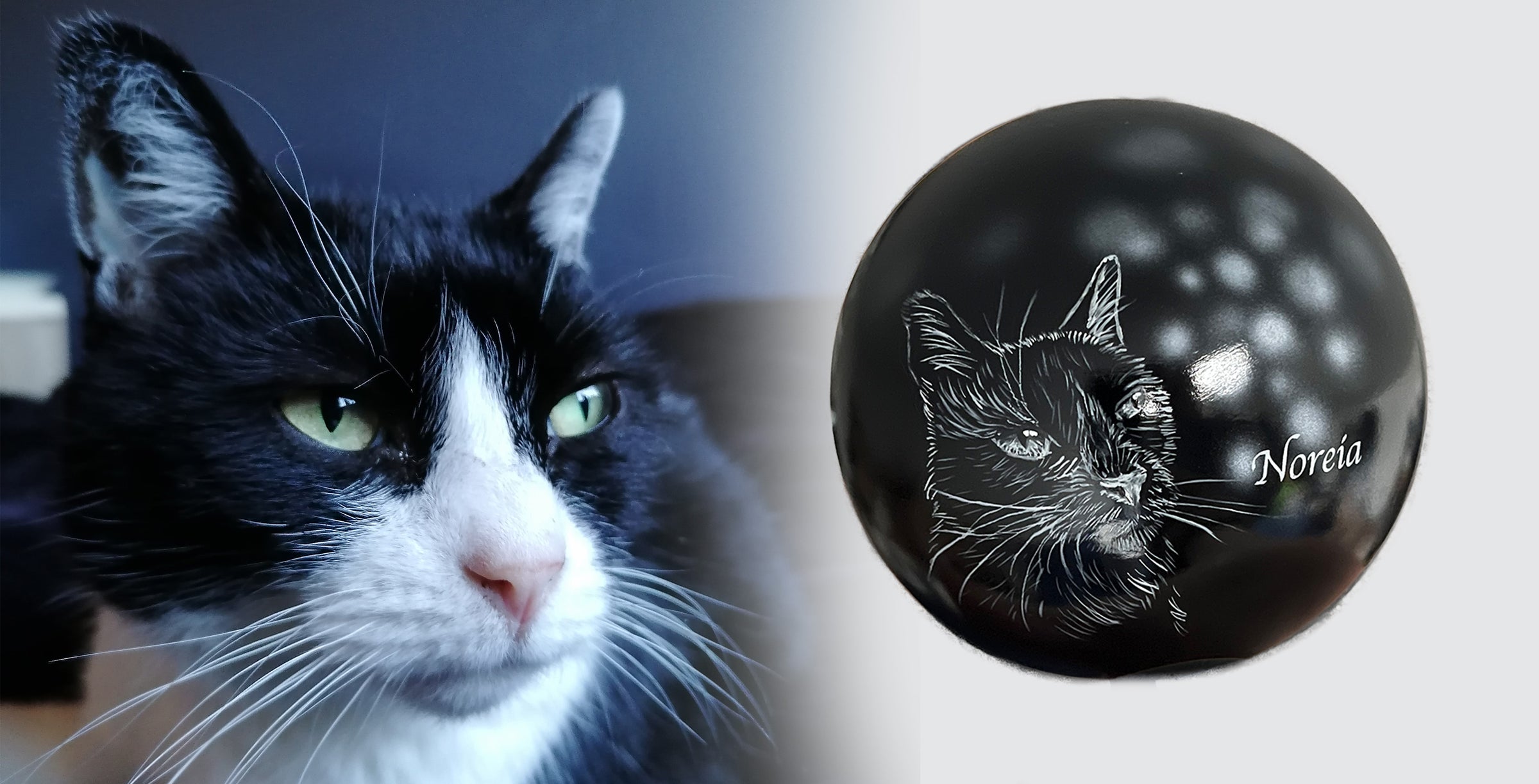 Katzenurne Katze im Licht auch mit Ihrer Katze Kugel