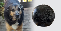 Hundeurne Lichterhund mit Silhouette Ihres Hundes