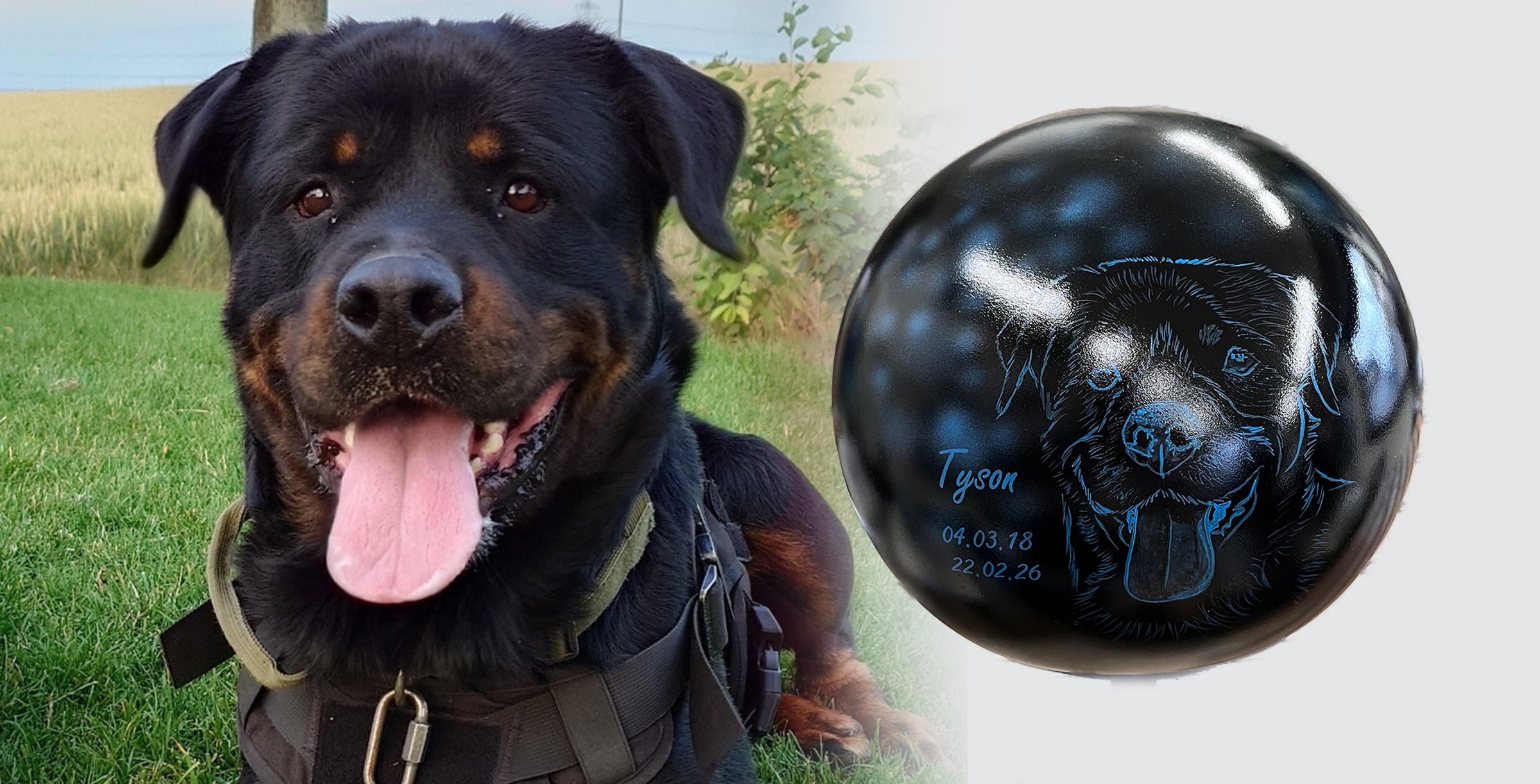 Hundeurne Hund im Licht auch mit Ihrem Hund Kugel