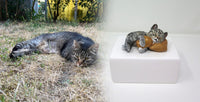 Katzenurne schlafende Katze auf Kissen Schwarz