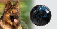 Hundeurne Hund im Licht auch mit Ihrem Hund Kugel