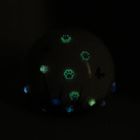 Tierurne Paradieswiese Bunt